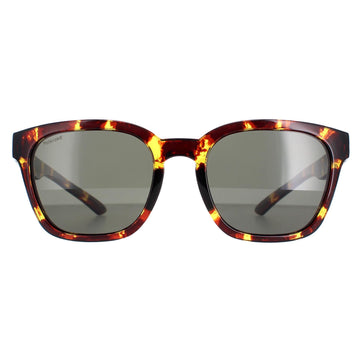 Smith Sunglasses Founder Slim MY3 IN Tortoise Green Polarized