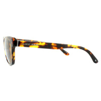 Giorgio Armani Sunglasses AR8067 509253 Havana Brown