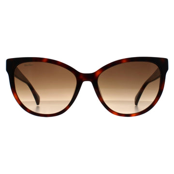 Max Mara Sunglasses MM0058 Logo 13 52F Dark Havana Brown Gradient