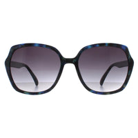 Smarty Sunglasses X2110 E Purple Demi Blue Tortoise Blue