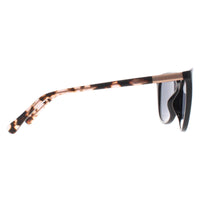 Radley Sunglasses Fionn 104 Gloss Black Matte Rose Gold Pink Tortoise Solid Smoke