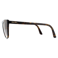 Prada Sunglasses PR01VS 2AU6S1 Havana Brown Gradient