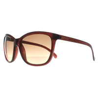 Calvin Klein Sunglasses CK19565S 210 Milky Brown Brown Gradient