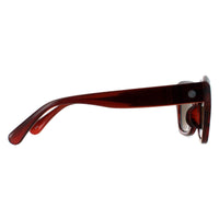 Smarty Sunglasses SB2311 B Demi Transparent Brown Brown