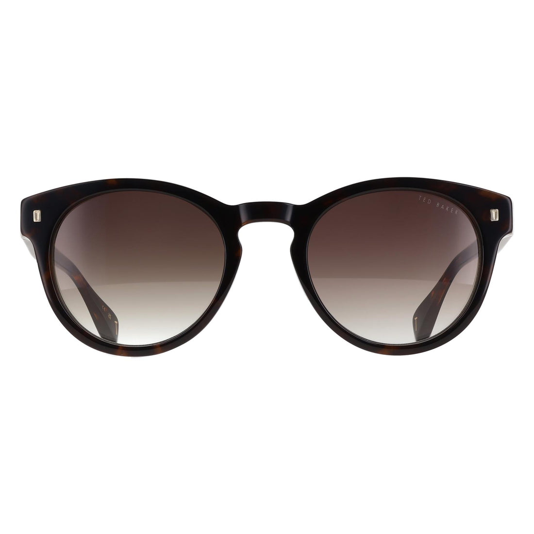 Ted Baker Sunglasses TB1752 Dax 119 Classic Tortoise Brown Gradient